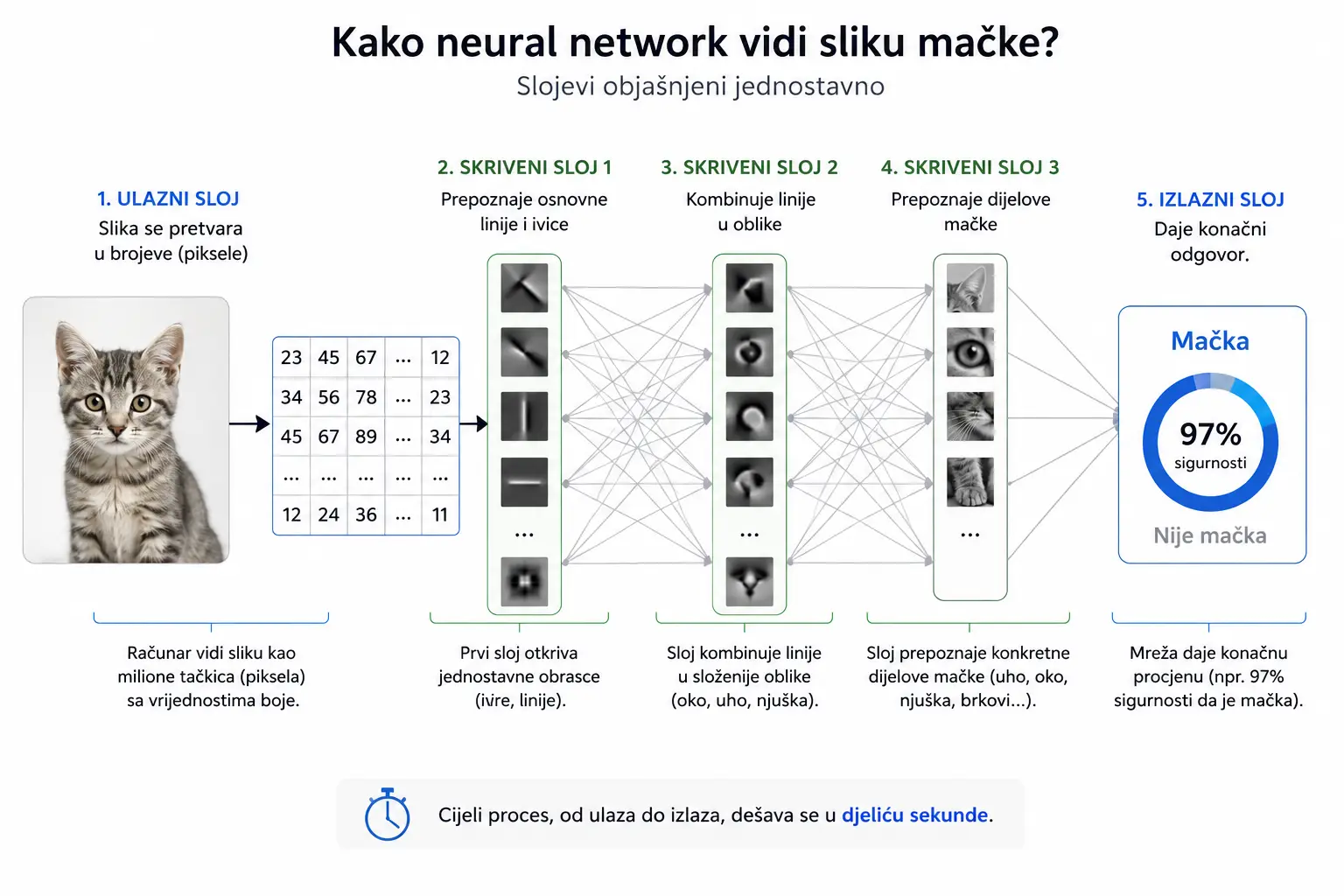 Kako neural network vidi sliku mačke